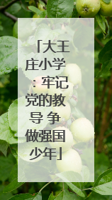大王庄小学：牢记党的教导 争做强国少年